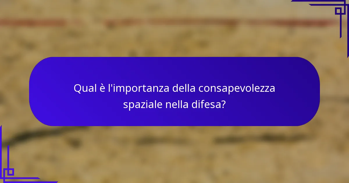 Qual è l'importanza della consapevolezza spaziale nella difesa?